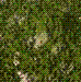 Thumbnail for version as of 17:05, 1 August 2021